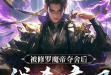宋萧然最新章节列表被修罗魔帝夺舍后，我杀疯了免费阅读-红妆文学