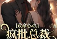 致命心动！疯批总裁掐腰诱哄大结局，薄宴辞裴梨小说无广告阅读-红妆文学