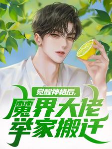小说觉醒神格后，魔界大佬举家搬迁主角陈念免费阅读