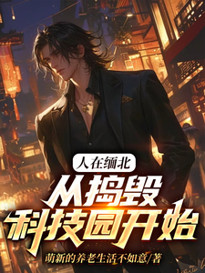 人在缅北，从捣毁科技园开始（韩潇）完结版免费阅读