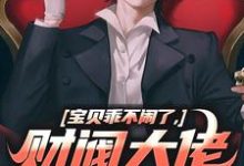 求助这本宝贝乖不闹了，财阀大佬日撩夜哄小说在哪里可以看完结版-红妆文学