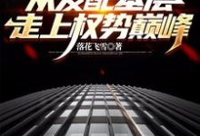 官梯:从发配基层走上权势巅峰(杨飞方婷)最新章节免费在线阅读-红妆文学