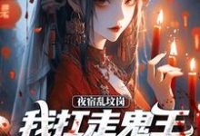 夜宿乱坟岗，我扛走鬼王漂亮新娘热门小说(昊昆)在线阅读无弹窗-红妆文学