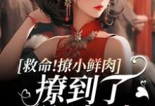 小说救命！撩小鲜肉撩到了顶级权贵！（李善）最新章节在哪看-红妆文学