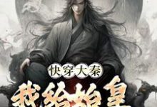 完结版快穿大秦：我给始皇当左相在哪免费看，秦牧小说在线阅读-红妆文学
