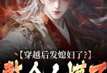 穿越后发媳妇了？整个人懵了热门小说(萧辰)在线阅读无弹窗-红妆文学