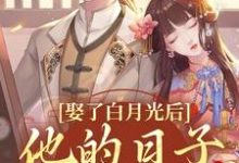 小说娶了白月光后，他的日子鸡飞狗跳主角盛栖月萧玉衡免费阅读-红妆文学