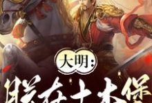 朱祁镇在线阅读，大明：朕在土木堡杀疯了小说完结版章节-红妆文学