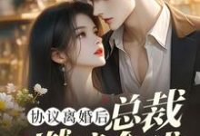 协议离婚后，总裁燃遍全球（林深）完结版免费阅读-红妆文学