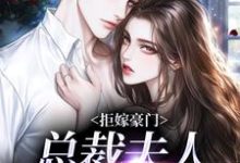 小说拒嫁豪门，总裁夫人带球跑（时今棠萧京野）最新章节在哪看-红妆文学