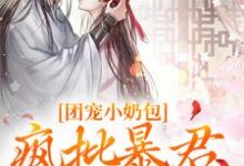 团宠小奶包，疯批暴君沉迷养崽免费阅读(萧璟月萧永乾)小说免费读最新章节-红妆文学