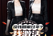 没钱回家过年?我激活0元购系统小说资源求分享,没钱回家过年?我激活0元购系统陈东林雨桐在线阅读-红妆文学