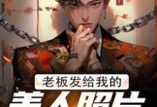 老板发给我的美人照片是老板娘(林江宇)最新章节免费阅读-红妆文学