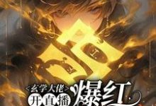 精彩章节阅读玄学大佬开直播，爆红阴阳两界(虞初见孟白首)免费小说在线看-红妆文学