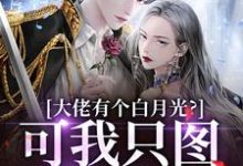 姜书禾靳珩小说的结局在哪可以看,大佬有个白月光?可我只图他钱包啊免费阅读完结版-红妆文学
