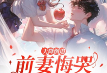 求助这本天降倒追,前妻悔哭求复合小说在哪里可以看完结版-红妆文学