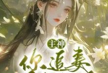 主神，你追妻又失败了？免费阅读(夏溪苏礼)小说免费读最新章节-红妆文学