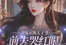 改嫁京圈太子爷，前夫哭红眼求我别嫁小说最新章节在哪里可以免费看-红妆文学