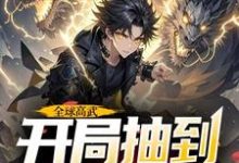 全球高武，开局抽到荒古圣体完结版许天免费阅读大结局-红妆文学