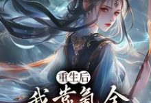 重生后，我靠氪金云养未来女帝无弹窗沈云最新章节列表-红妆文学
