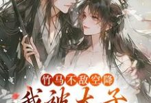 跪求主角是薛泠谢珩的小说书名叫什么-红妆文学