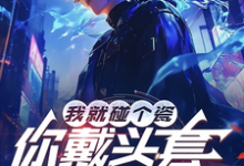 我就碰个瓷,你戴头套什么意思?热门小说(陆泽赵勇)在线阅读无弹窗-红妆文学