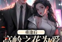 重逢后,高岭之花为爱变身追妻狂魔大结局,付闻洲程又青小说无广告阅读-红妆文学