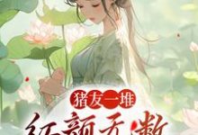 猪友一堆,红颜无数,这叫年少有为(裴双郑子林)最新章节在线阅读-红妆文学