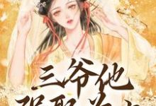 三爷他强娶为上在线看，林知意小说大结局在哪免费看-红妆文学
