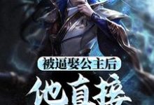 主角是王修苏晚晴的小说被逼娶公主后，他直接坐了皇位在哪免费看-红妆文学