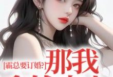 霸总要订婚？那我拿钱走人免费阅读，沈徽林项明峥大结局无弹窗-红妆文学