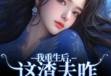林菀宁小说的结局在哪可以看，我重生后，这渣夫咋还换人格了免费阅读完结版-红妆文学