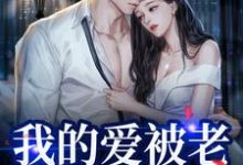 我的爱被老婆永久拉黑热门小说(姜软软段辞)在线阅读无弹窗-红妆文学