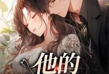 他的蓄意引诱热门小说(司向淮乌椿)在线阅读无弹窗-红妆文学