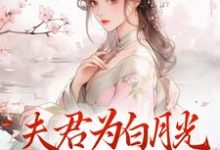 完结版夫君为白月光守身如玉?我成全!在哪免费看,宋絮晚季墨阳小说在线阅读-红妆文学