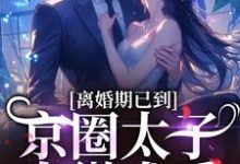 离婚期已到！京圈太子卑微求爱大结局，沈青瓷席星野小说无广告阅读-红妆文学