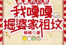 主人公是林来娣谭诸墨的小说暴富养四崽,我嘎嘎掘婆家祖坟免费阅读-红妆文学