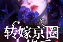 小说转嫁京圈大佬后,前任悔不当初主角苏婉禾司北琛免费阅读-红妆文学