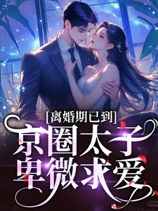 离婚期已到！京圈太子卑微求爱免费阅读，沈青瓷席星野大结局无弹窗