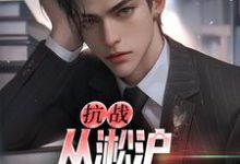叶青山在线阅读，抗战：从淞沪保卫战开始小说完结版章节-红妆文学
