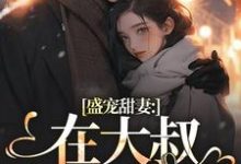 安姩盛怀安小说免费阅读最新章节列表，盛宠甜妻：在大叔怀里沦陷小说在线看-红妆文学