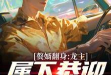 赘婿翻身:龙主,属下恭迎您归位无弹窗叶尘林含雪最新章节列表-红妆文学