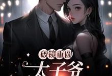 黎念靳宴深小说免费阅读最新章节列表,破镜重圆:太子爷他太霸道小说在线看-红妆文学