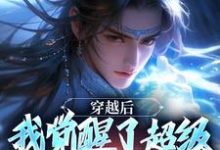 穿越后，我觉醒了超级锦衣卫系统小说最新章节在哪里可以免费看-红妆文学