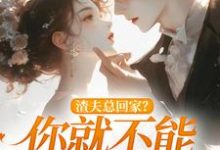渣夫总回家？你就不能找找新欢无弹窗洛言赵晏州最新章节列表-红妆文学
