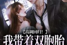 高调回归！我带着双胞胎虐他来了热门小说(慕楚渊初香雪)在线阅读无弹窗-红妆文学