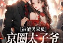 被渣男辜负,京圈太子爷化身治愈系免费阅读,沈颜季辞渊大结局无弹窗-红妆文学