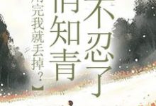 许语嫣叶修远小说的结局在哪可以看，利用完我就丢掉？俏知青她不忍了免费阅读完结版-红妆文学