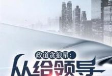 政道贪狼星：从给领导平反开始精彩章节在线免费阅读（陈诚楚瑜清）-红妆文学