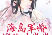海岛军婚：嫁他生崽崽精彩章节在线免费阅读（沈竹霍锦之）-红妆文学